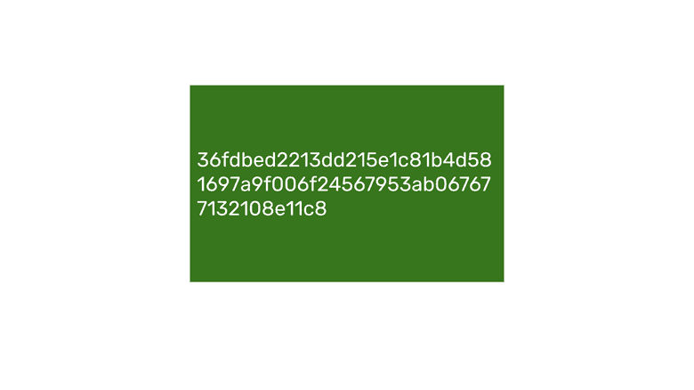 Raw private key. Raw private key.